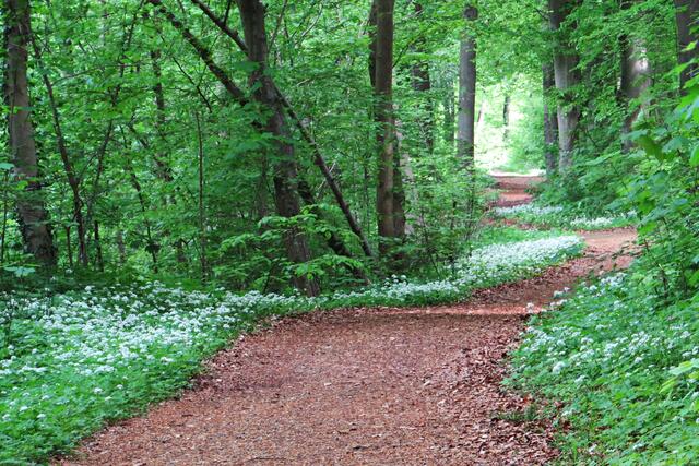 Foto: Brigitte Melder