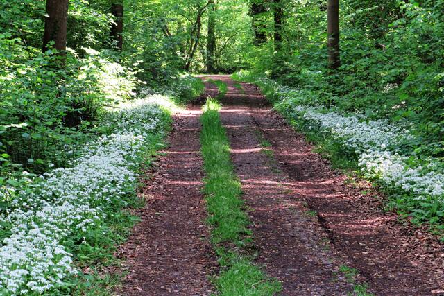 Foto: Brigitte Melder