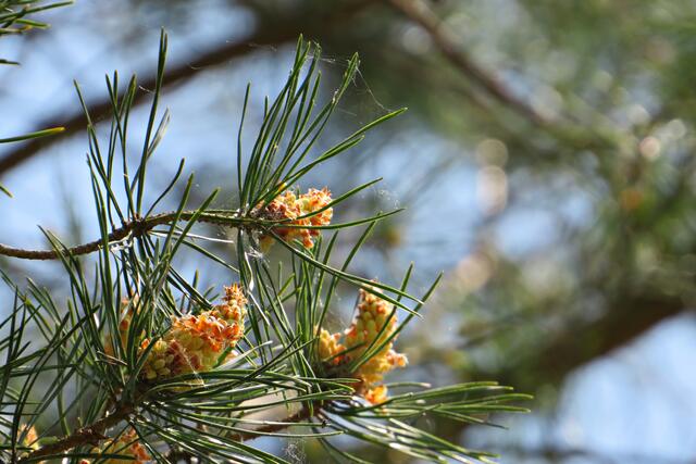 Foto: Brigitte Melder