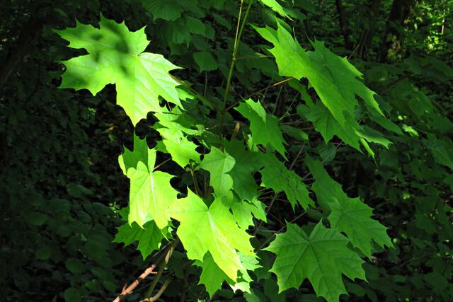 Foto: Brigitte Melder