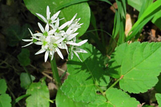 Foto: Brigitte Melder