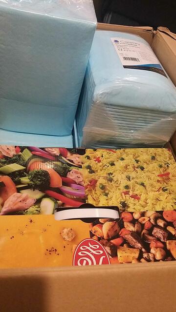 G | Foto: i.A. Igor Girka