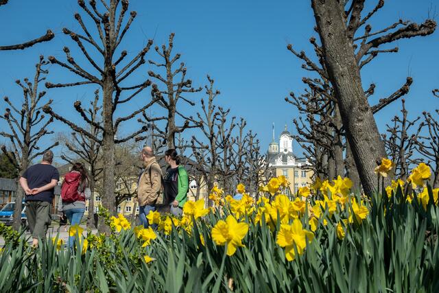 Karlsruhe: Am Schloss | Foto: Jessica Bader