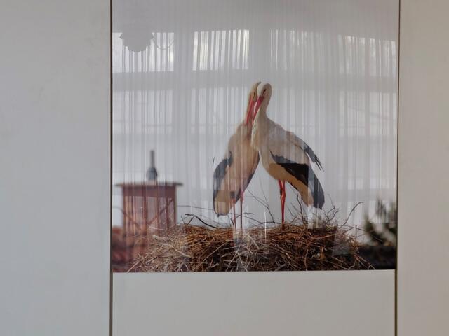 Hängt im Trauzimmer | Foto: Brigitte Melder