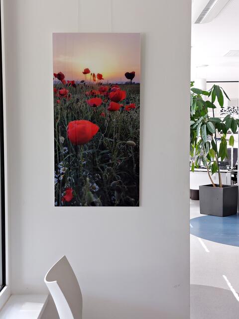 Auf dem Weg zum Bürgerbüro kommt man an diesem Bild vorbei | Foto: Brigitte Melder