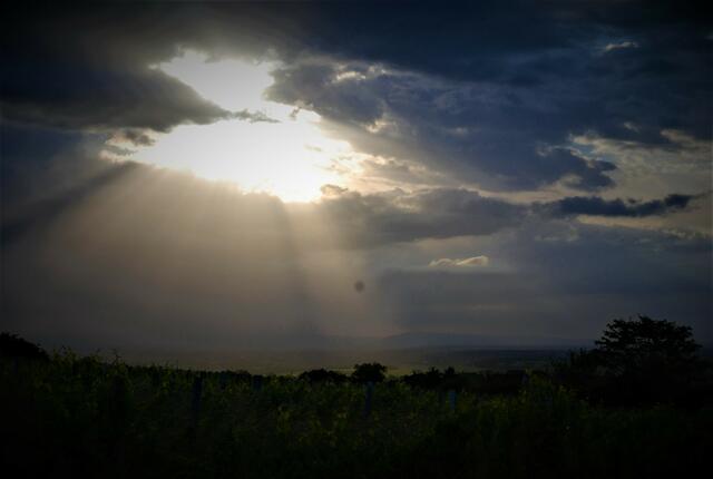 Ein letzter Blick zurück in die Rheinebene | Foto: Markus Pacher