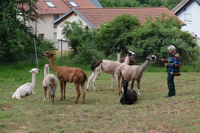 Für Leckerlies kann man schonmal aufstehen | Foto: B. Bender