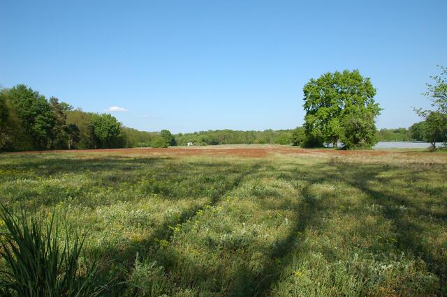 Naturschutzgebiet Trockenwiesen Jockgrim im Mai 2019 | Foto: A. Abt