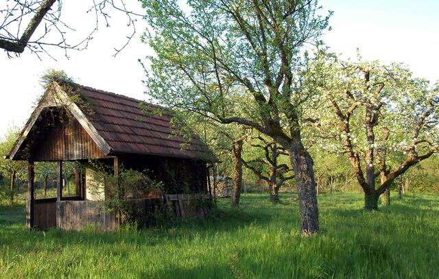 Obst- und Gartenbauanlage Jockgrim - April 2014 | Foto: A. Abt