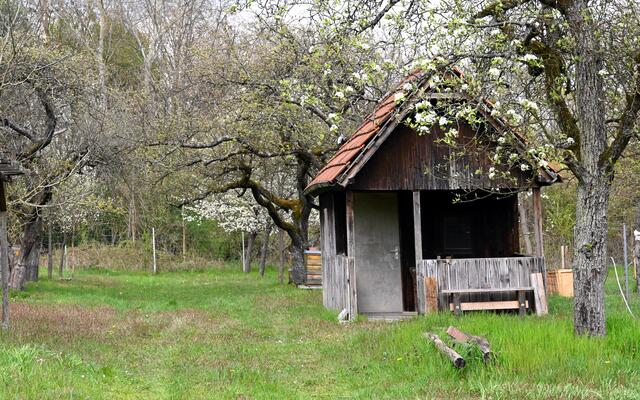 Obst- und Gartenbauanlage Jockgrim - April 2021 | Foto: A. Abt