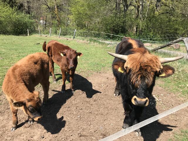 Begrüßung am Beginn des Weges | Foto: B. Bender