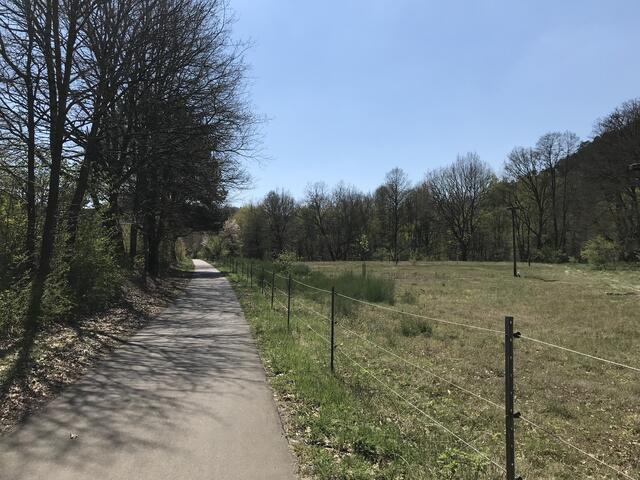 Rad- und Wanderweg | Foto: B. Bender