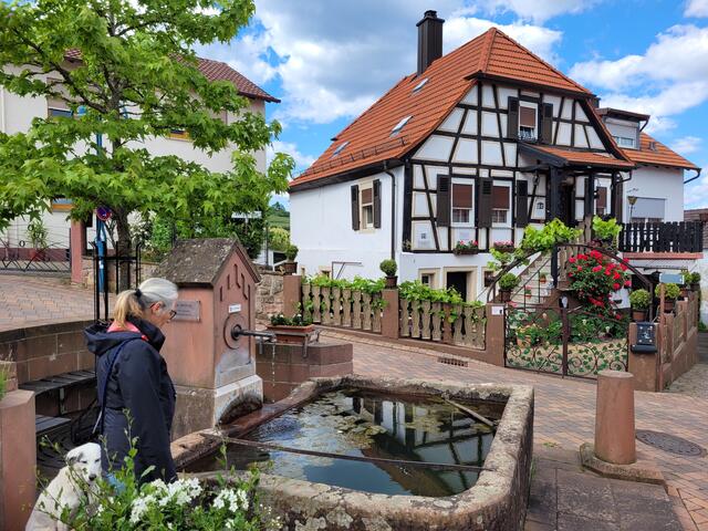 Gleisweiler | Foto: Markus Pacher