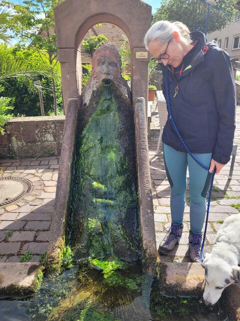 Gleisweiler | Foto: Markus Pacher