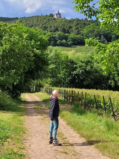 Auf dem Weinstraßen-Wanderweg Richtung Burrweiler | Foto: Markus Pacher