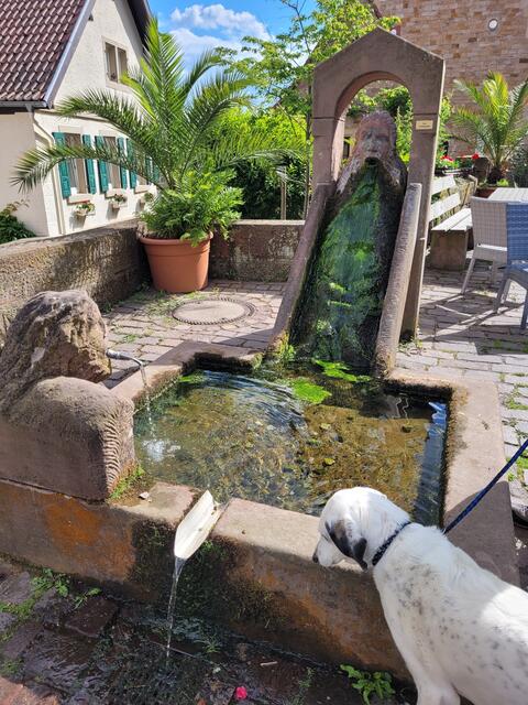 Gleisweiler | Foto: Markus Pacher