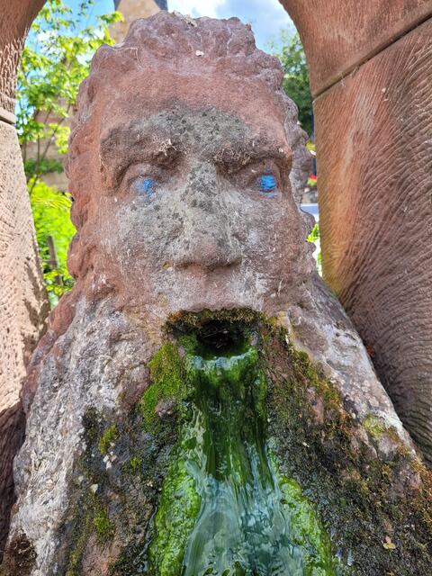 Gleisweiler | Foto: Markus Pacher