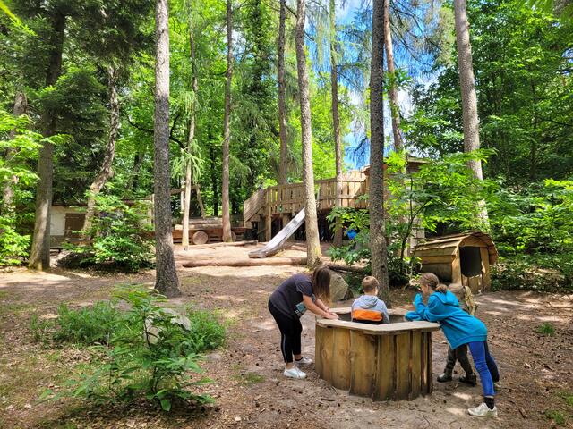 Spielplatz an der Ringelsberg Hütte | Foto: Markus Pacher