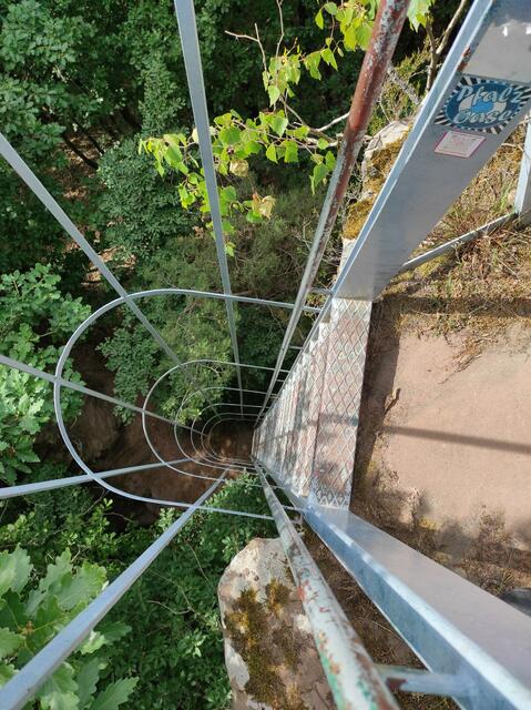 Geschafft: Blick von oben die Leiter hinab | Foto: B. Bender