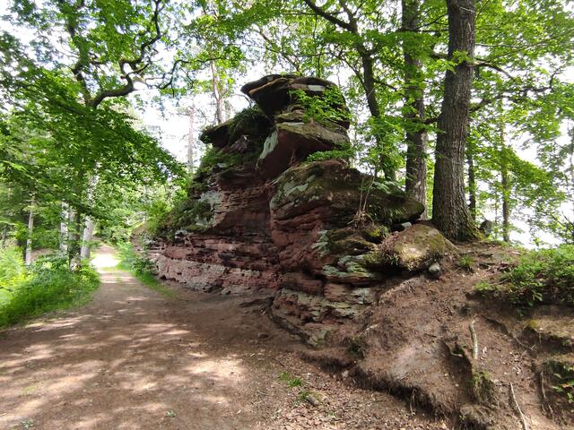 Entlang des langgezogenen Kellerfelsen geht es weiter zum Schweinsfels | Foto: B. Bender