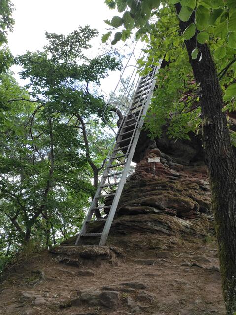 Und da steht sie, die Leiter hoch zur tollen Aussicht | Foto: B. Bender
