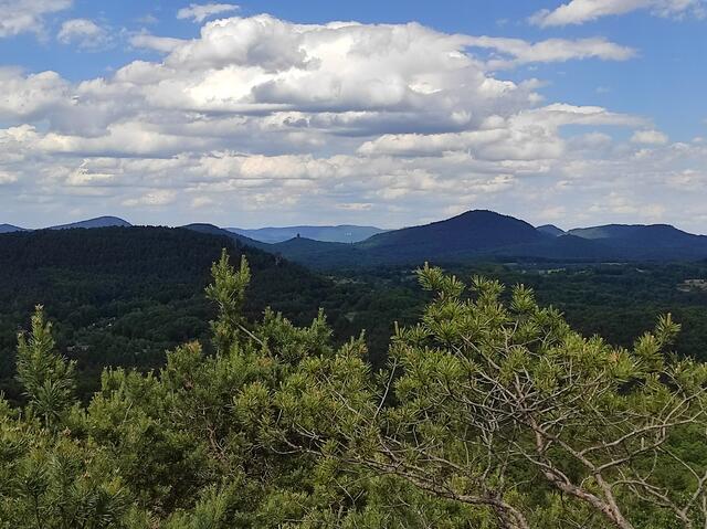 Weiter Blick über das Trifelsland | Foto: B. Bender