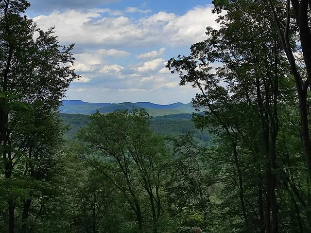 Schon der Weg zum Schweinsfels bietet schöne Ausblicke | Foto: B. Bender