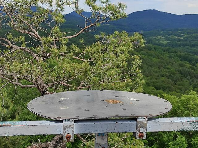 Die Richtungsangaben auf der Platte sind schwer zu entziffern | Foto: B. Bender