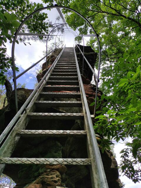 „Stairway to heaven“ - die Leiter hinauf auf den Schweinsfels  | Foto: B. Bender