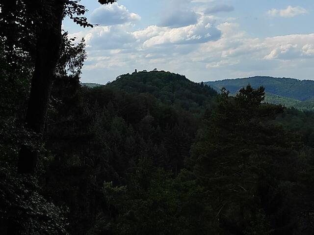 Blick vom Wanderweg auf Burg Lindelbrunn | Foto: B. Bender