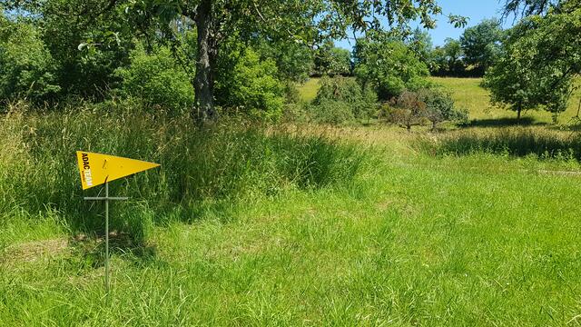 Als "Hilfe" gab es gelbe Markierungen entlang der Strecke | Foto: www.jowapress.de
