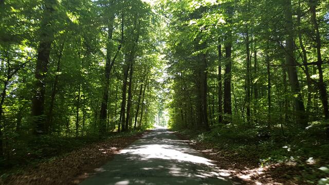 Erlebenswerte Strecken | Foto: www.jowapress.de