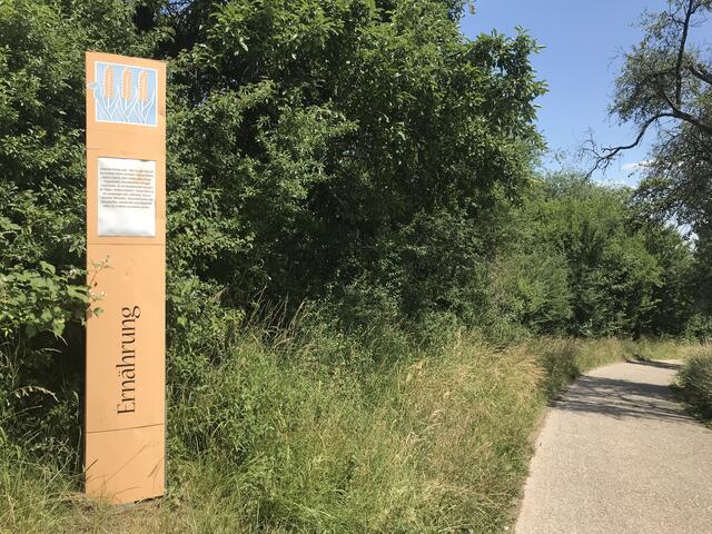 Die Säule "Ernährung" an der Streuobstwiese | Foto: B. Bender