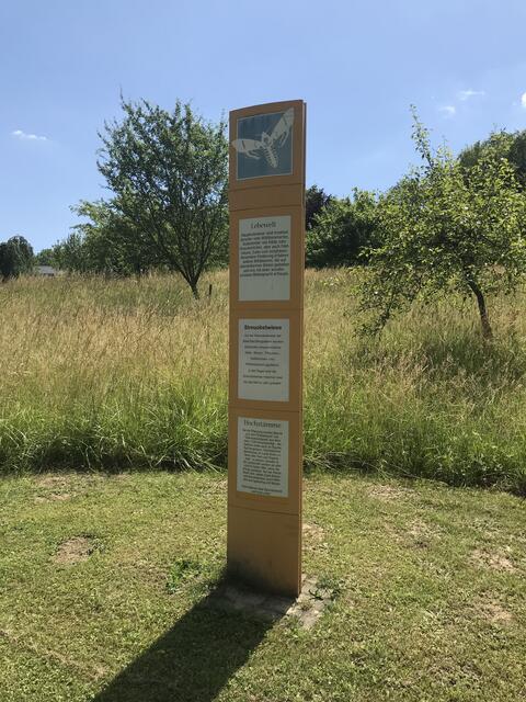 Streuobstwiese am Lehrpfad | Foto: B. Bender