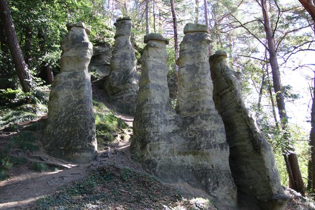 Am Rotweilerberg, innerhalb des Sipplinger Dreiecks, befinden sich die Sieben Churfirsten. Die pfeilerartigen, fünf bis sieben Meter hohen Sandsteinfelsen sind in der Nacheiszeit durch Erosion von Regen und Wind entstanden.
Der Name der Felsformation soll sich angeblich von den Kurfürsten herleiten, die mit ihren Mützen den Felsen ähnlich sehen. Die „Mützen“ der Felsen bestehen aus härterem Gestein, welches den darunterliegenden Sandstein vor Abtragung geschützt hat.

 | Foto: Franz Walter Mappes