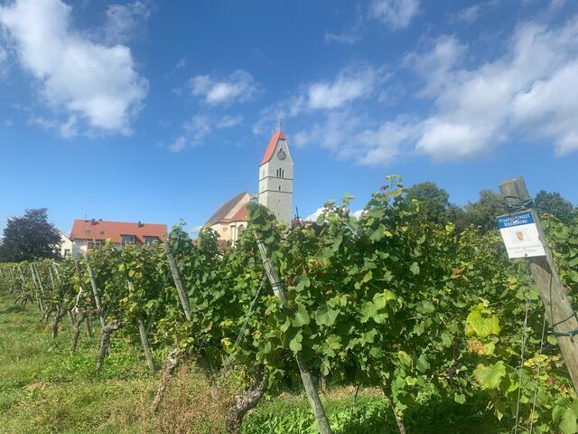 Winzerdorf Hagnau am Bodensee | Foto: Franz-Walter Mappes
