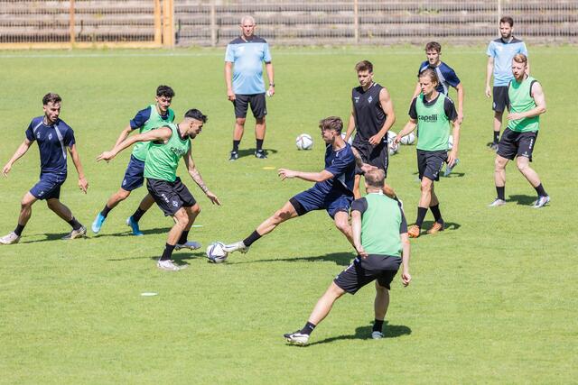 Christian Neidhart hat alles im Blick. | Foto: Christian Gaier