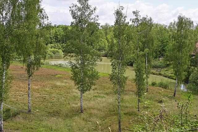 Erdekaut | Foto: Ilona Schäfer