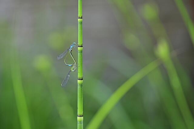 Love is... | Foto: Ilona Schäfer