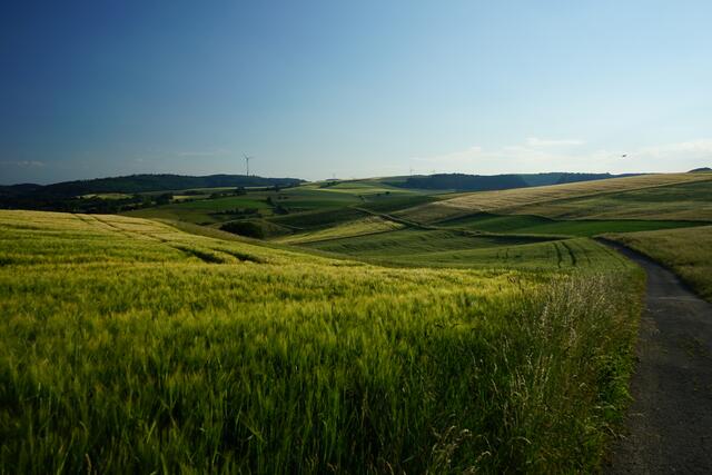 Eine idyllische Feld- und Wiesenlandschaft bei Gundersweiler lädt zum Wandern ein.

Gundersweiler / Donnersbergkreis | Foto: Stephen Wüstenberg Photographie - Wartenberg-Rohrbach
