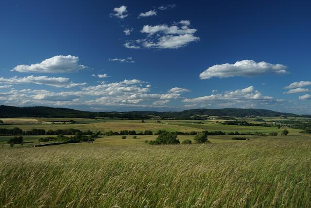 Sommerfeeling im Potzbachertal mit Blick auf den Donnersberg
Potzbach / VG Winnweiler | Foto: Stephen Wüstenberg Photographie - Wartenberg-Rohrbach