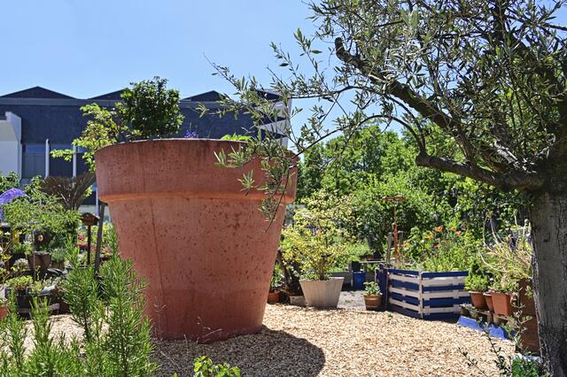 hack-museumsgARTen | Foto: Ilona Schäfer