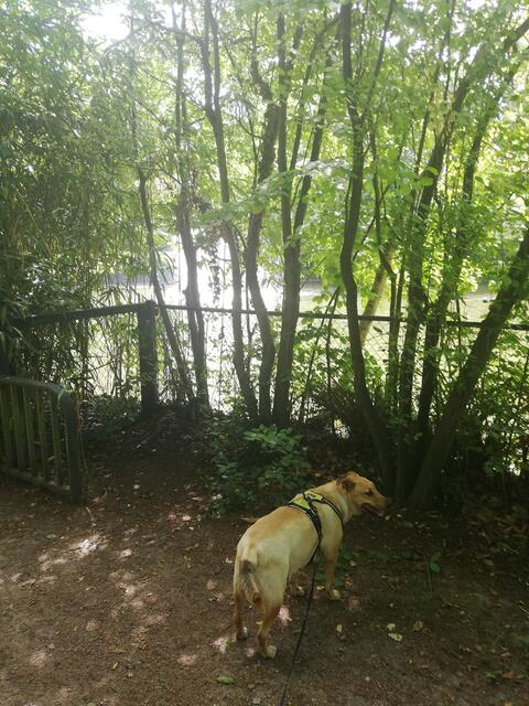 Foto: Herbert Wetterauer