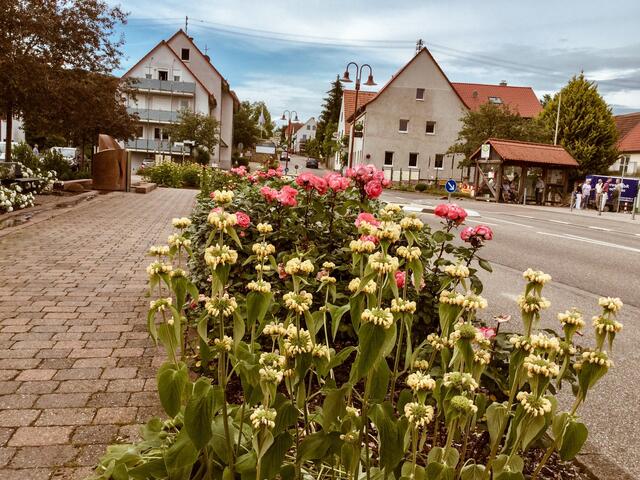 Oberotterbach | Foto: Foto: Z. Haggag