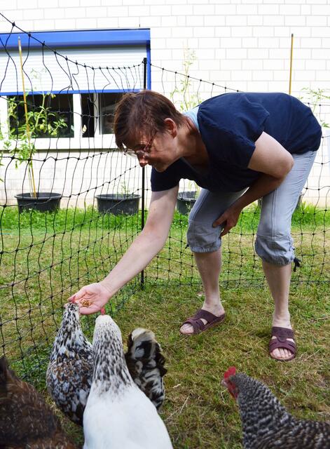 Mehlwürmer sind für die Hühner ein besonderer Leckerbissen. Manchmal fressen sie den Bewohnern sogar aus der Hand. | Foto: Dennis Christmann/Lebenshilfe Südliche Weinstraße