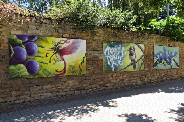 Elwetritsche | Foto: Brigitte Melder