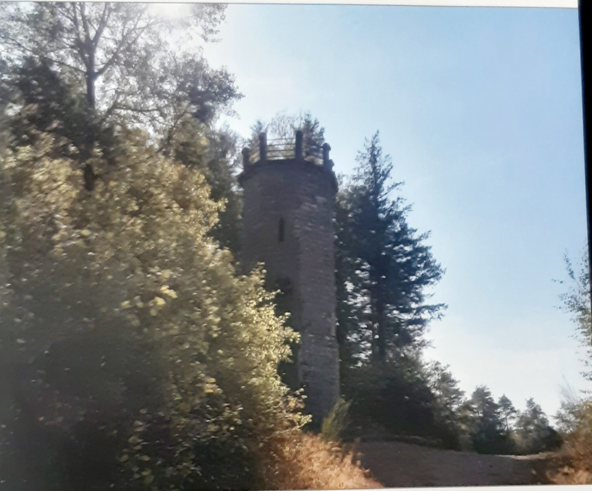 Turnverein Ungstein 1906 e.V.: Juli Wanderung zum Hüttenbrunnen - Bad ...