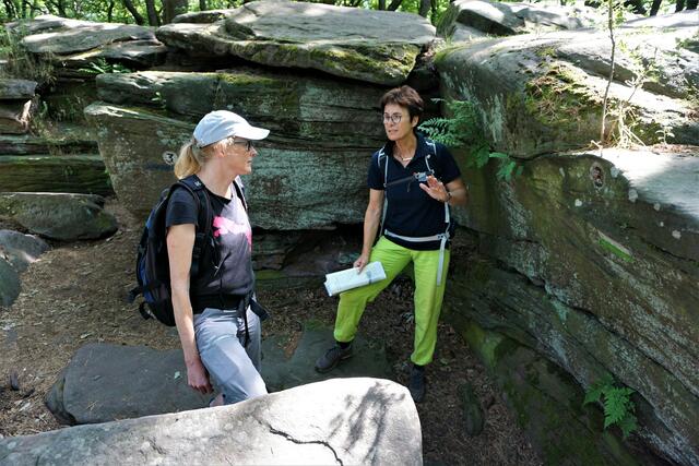 Die Felsenlandschaft des Pfälzerwalds entstand vor 248 Millionen Jahren. | Foto: Markus Pacher