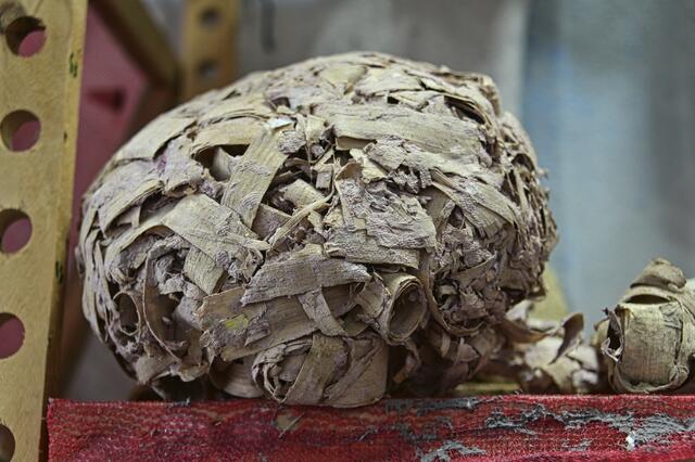 Foto: Ilona Schäfer