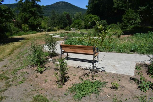 Wer lieber in der Sonne sitzen mag, ist hier am richtigen Platz | Foto: B. Bender